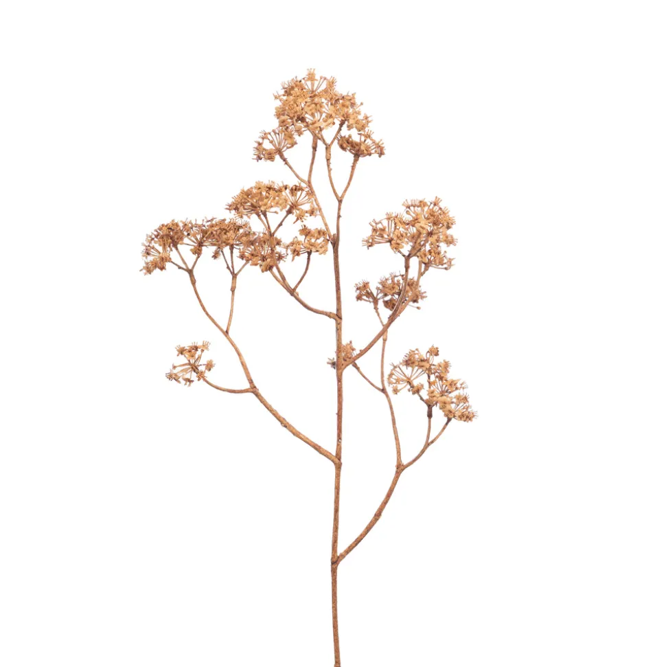 AMADEUS - Fleur artificielle : tige de gypsophile, coloris doré - H.79cm