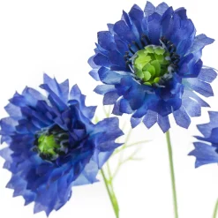 ARCHE DIFFUSION - BLEUET 3 FLEURS