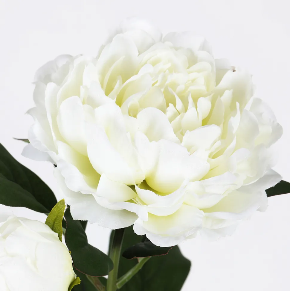 ARCHE DIFFUSION - Fleur artificielle tige de pivoine blanc H.76cm