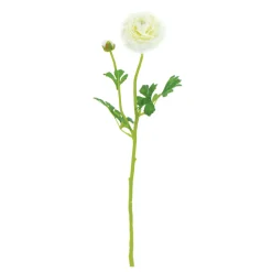 ARCHE DIFFUSION - Fleur artificielle tige de renoncule blanc H.61cm