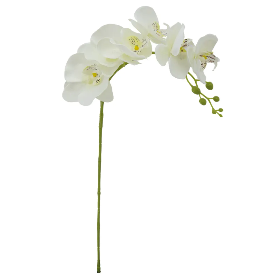 ARCHE DIFFUSION - Fleur artificielle tige d'orchidée phalaenopsis blanc H.82cm