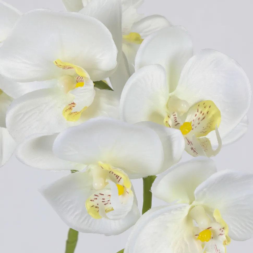 ARCHE DIFFUSION - Fleur artificielle tige d'orchidée phalaenopsis blanc H.82cm
