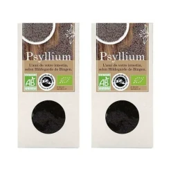 AROMANDISE - Psyllium bio 200 g