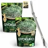 AROMANDISE - Thé vert gyokuro 100 g + paille inox avec filtre