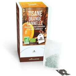 AROMANDISE - Tisane orange et cannelle biologique - 20 sachets