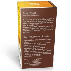 AROMANDISE - Tisane orange et cannelle biologique - 20 sachets