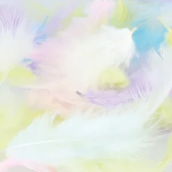 ARTEMIO - Plumes colorées pastel, 10g