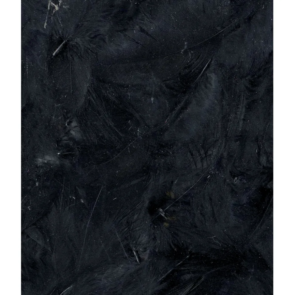 ARTEMIO - Plumes noir - 3g