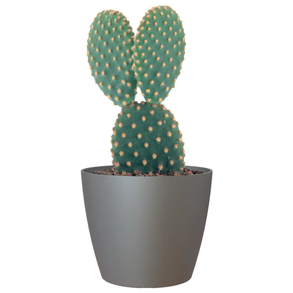 ARTEVASI - Cache-pot d'intérieur San Remo en plastique anthracite Ø20cm