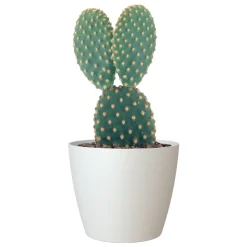 ARTEVASI - Cache-pot d'intérieur en plastique San Remo blanc Ø18cm