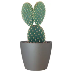 ARTEVASI - Cache-pot d'intérieur en plastique San Remo anthracite Ø14cm