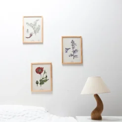 ASSOCIATION KOKOPELLI - 3 affiches plantes médicinales a4