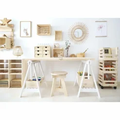 ASTIGARRAGA - Caisse de rangement sur roulettes evolution (lot de 3)