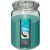ATMOSPHERA - Bougie parfumée noix de coco pot en verre 510 g