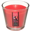 ATMOSPHERA - Bougie parfumée fruits rouges pot en verre 190 g