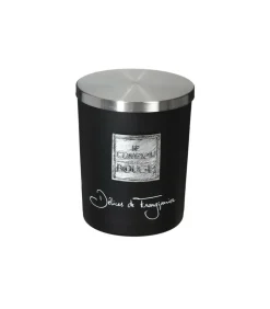 ATMOSPHERA - Bougie parfumée délice de frangipanier pot en verre 490 g