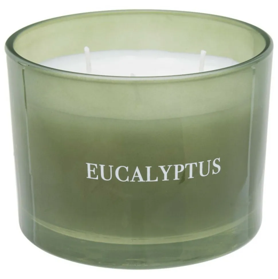 ATMOSPHERA CRÉATEUR D'INTÉRIEUR - Bougie parfumée déco "cosy" 280g eucalyptus