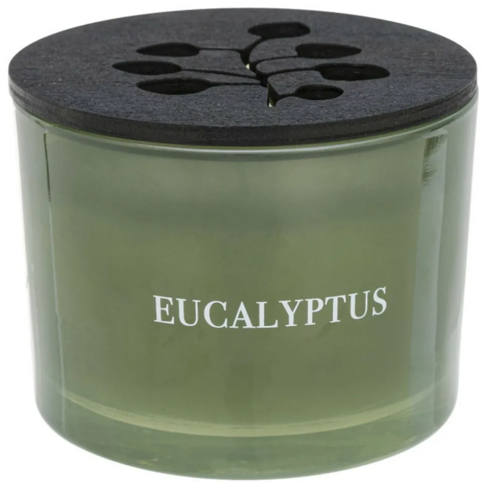ATMOSPHERA CRÉATEUR D'INTÉRIEUR - Bougie parfumée déco "cosy" 280g eucalyptus