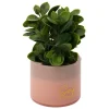 ATMOSPHERA CREATEUR D'INTERIEUR - Plante artificielle en pot "tayli" h18cm