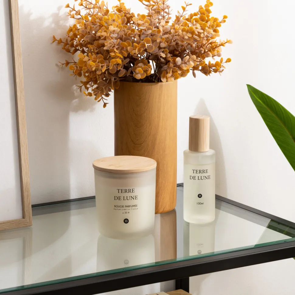 ATMOSPHERA CREATEUR D'INTERIEUR - Spray d ambiance "terre de lune" 100ml