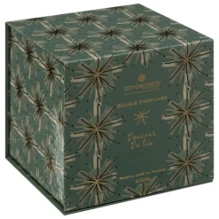 ATMOSPHERA CREATEUR D'INTERIEUR - Bougie parfumée "plum" en verre d10,3cm vert