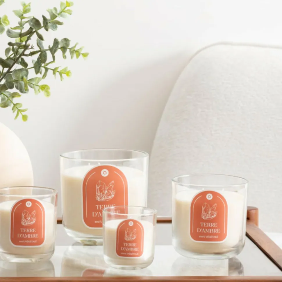 ATMOSPHERA CREATEUR D'INTERIEUR - Bougie parfumée " floa" ambre 350g