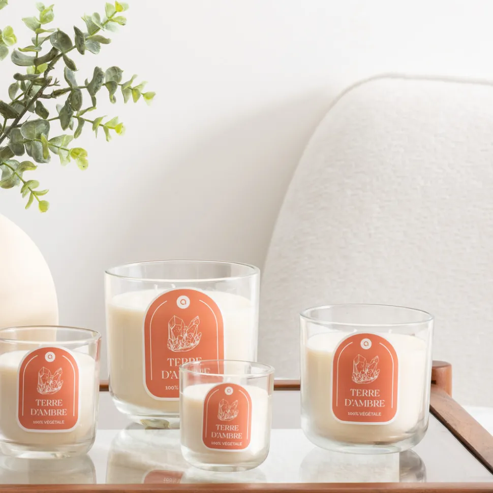 ATMOSPHERA CREATEUR D'INTERIEUR - Bougie parfumée " floa" ambre 350g