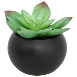 ATMOSPHERA CREATEUR D'INTERIEUR - Plante grasse en pot h13