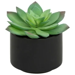 ATMOSPHERA CREATEUR D'INTERIEUR - Plante grasse en pot h13