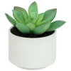 ATMOSPHERA CREATEUR D'INTERIEUR - Plante grasse en pot h13