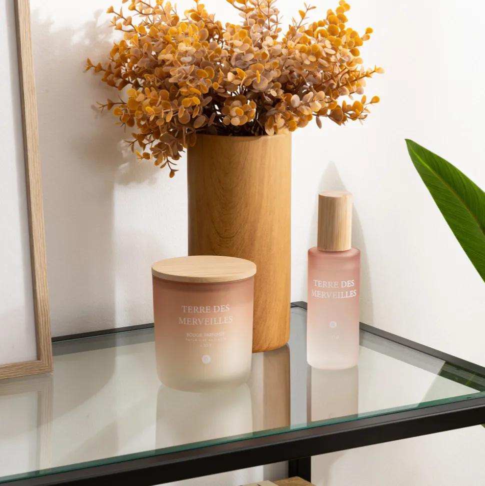 ATMOSPHERA CREATEUR D'INTERIEUR - Spray d ambiance "terre des merveilles" 100ml