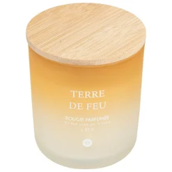 ATMOSPHERA CREATEUR D'INTERIEUR - Bougie parfumée "terre de feu" bouquet de lila 255g