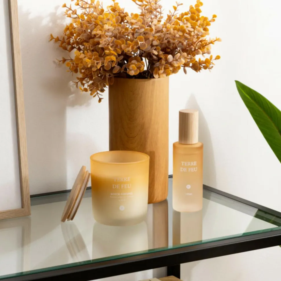 ATMOSPHERA CREATEUR D'INTERIEUR - Bougie parfumée "terre de feu" bouquet de lila 255g