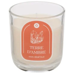 ATMOSPHERA CREATEUR D'INTERIEUR - Bougie parfumée " floa" ambre 210g