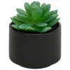 ATMOSPHERA CREATEUR D'INTERIEUR - Plante grasse en pot h13