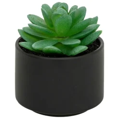 ATMOSPHERA CREATEUR D'INTERIEUR - Plante grasse en pot h13