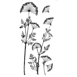 ATMOSPHERA CREATEUR D'INTERIEUR - Sticker "mind" - noir et blanc - 80x170 cm