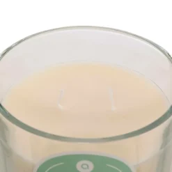 ATMOSPHERA CREATEUR D'INTERIEUR - Bougie parfumée " floa" monoï 350g