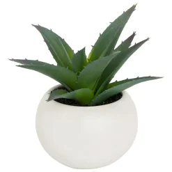 ATMOSPHERA CREATEUR D'INTERIEUR - Plante grasse en pot h13