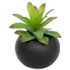 ATMOSPHERA CREATEUR D'INTERIEUR - Plante grasse en pot h13