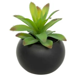 ATMOSPHERA CREATEUR D'INTERIEUR - Plante grasse en pot h13