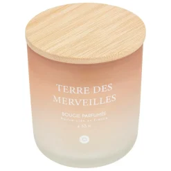 ATMOSPHERA CREATEUR D'INTERIEUR - Bougie parfumée "terre des merveilles" pétales de musc 255g