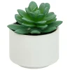 ATMOSPHERA CREATEUR D'INTERIEUR - Plante grasse en pot h13