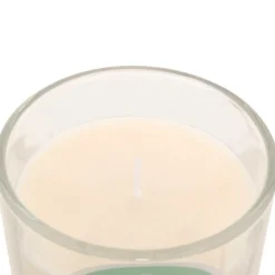 ATMOSPHERA CREATEUR D'INTERIEUR - Bougie parfumée " floa" monoï 210g