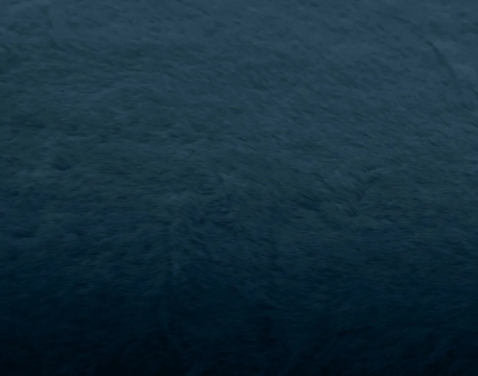 BEST MOBILIER - Oscar - coussin - en fausse fourrure - 60x60 cm