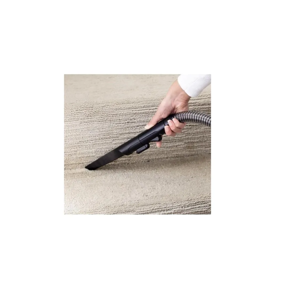 Bissell nettoyeur vapeur traîneau 750w - 15589