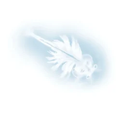 BUKI - Coffret: Monstres marins