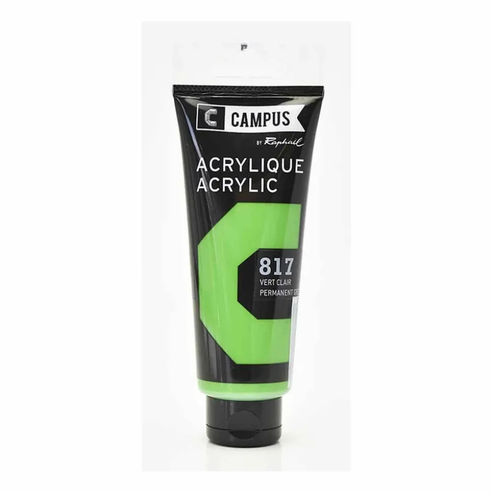 CAMPUS - Peinture acrylique 100 ml - vert clair n°817