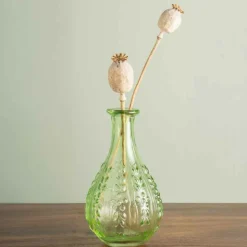 CHEHOMA - Vase liseron vert verre15x9x9cm
