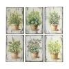 CHEMIN DE CAMPAGNE - Set de 6 tableaux en bois multicolores "aromates" 20 x 31 cm